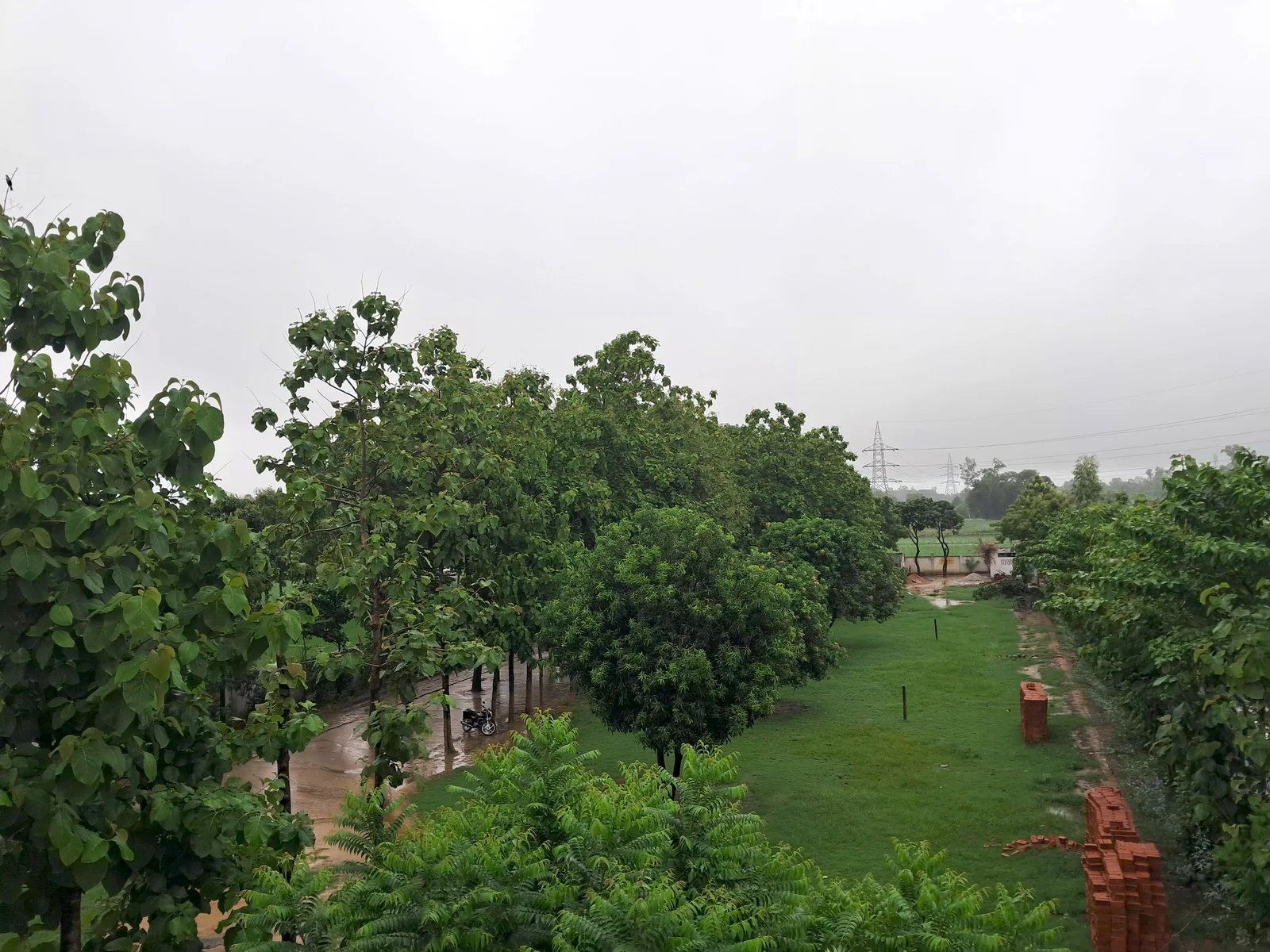 Play Ground